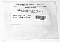 Image Associated With the Occurence